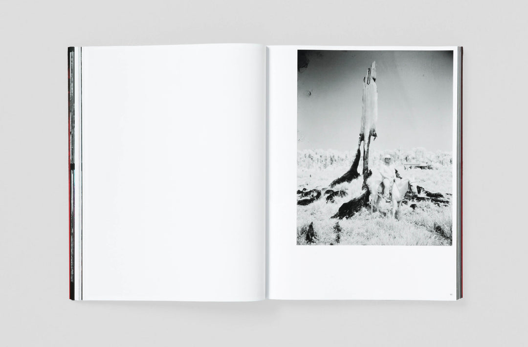 Richard Mosse – Broken Spectre