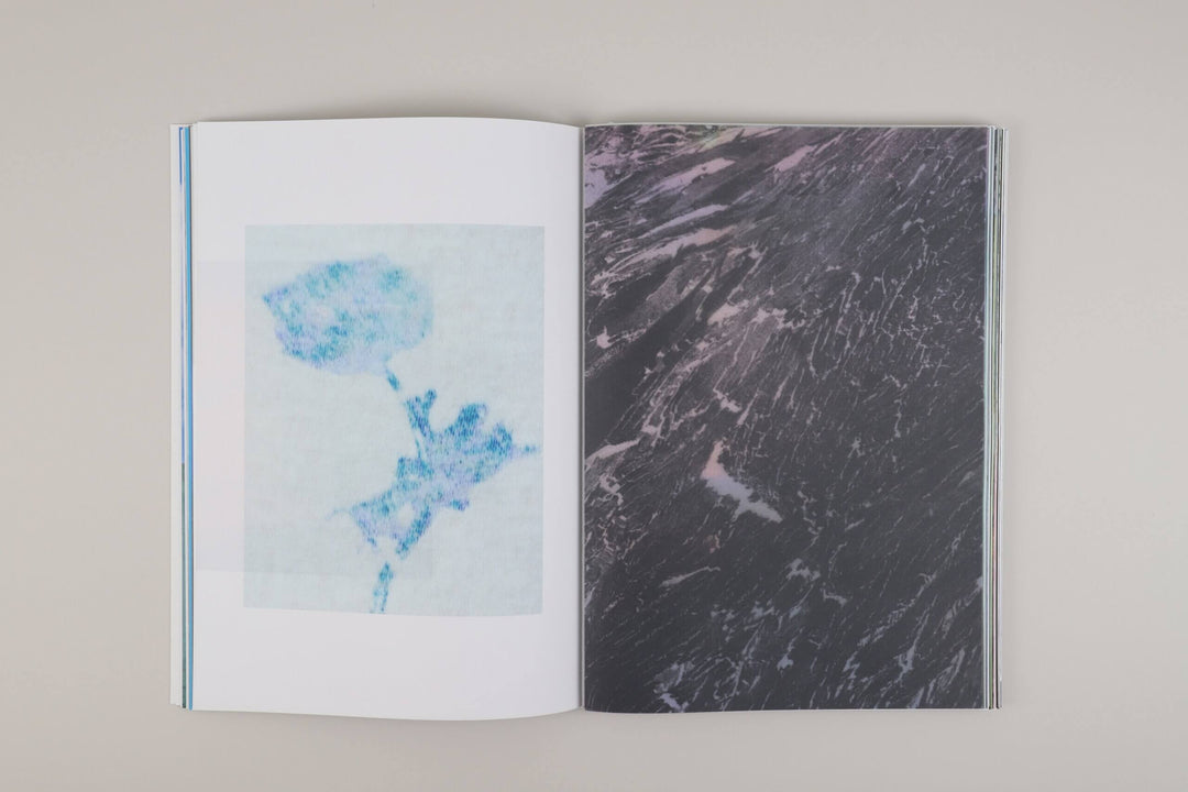 Marcelo Gomes – Pathêmes