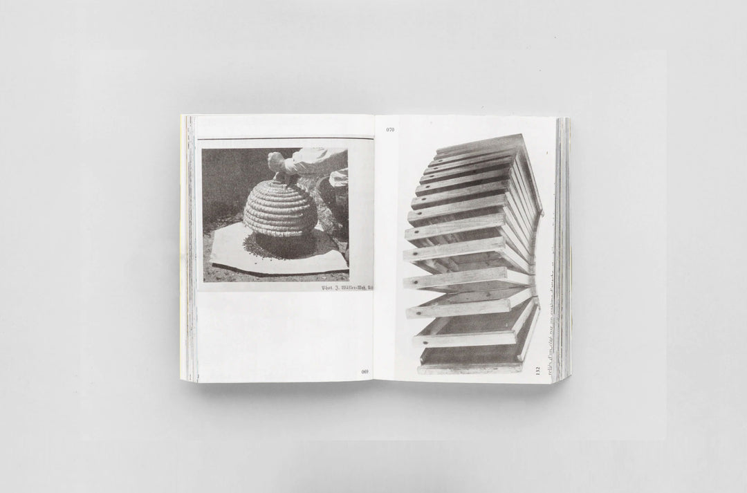 Aladin Borioli – Ruches