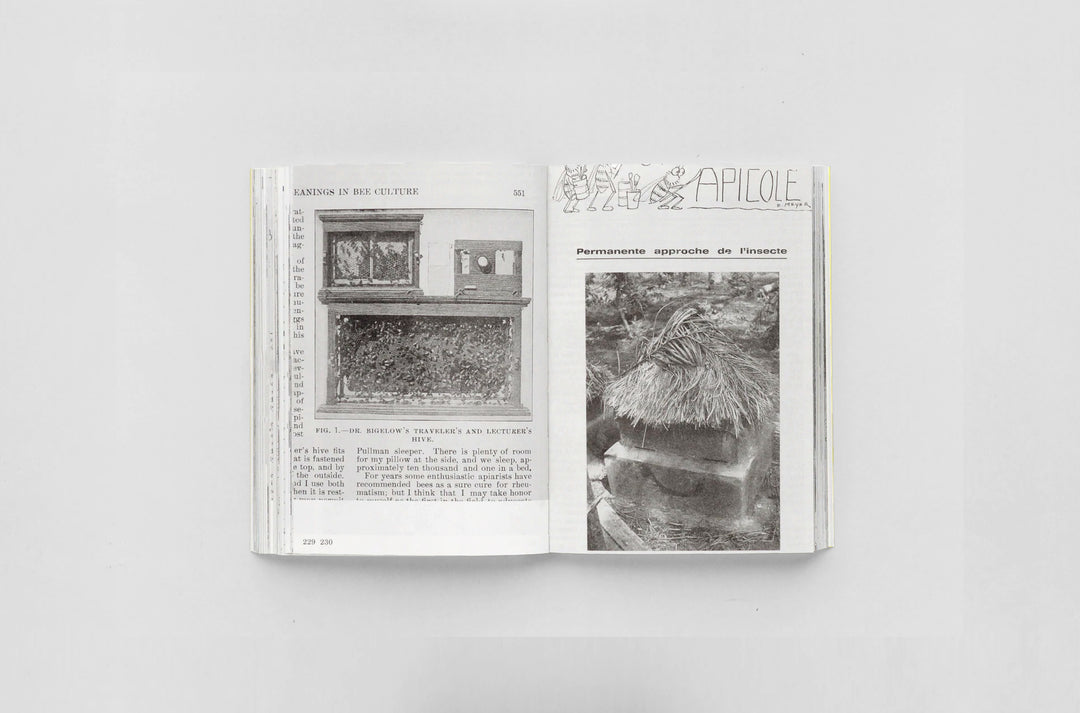 Aladin Borioli – Ruches
