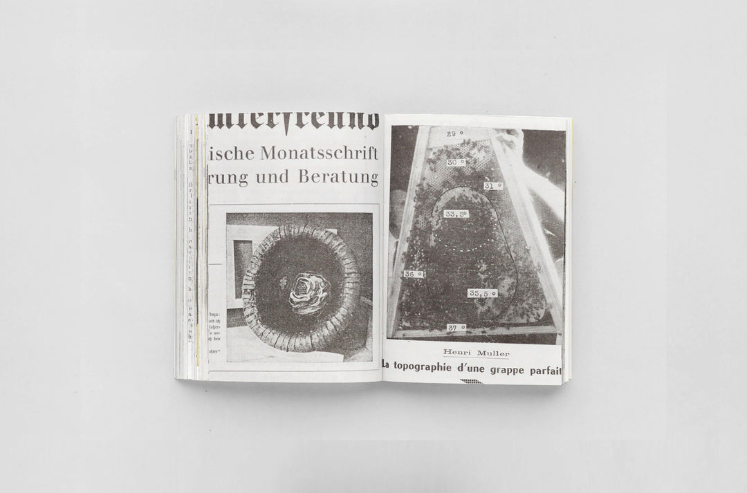 Aladin Borioli – Ruches