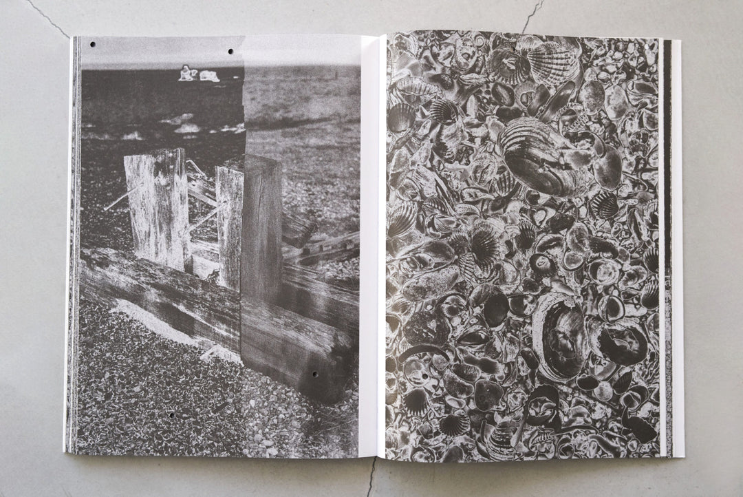 Shinichiro Shiraishi – Samsara