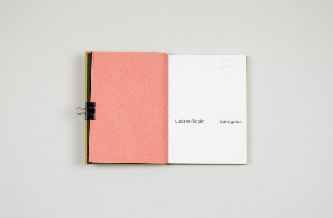 Luciano Rigolini – Surrogates