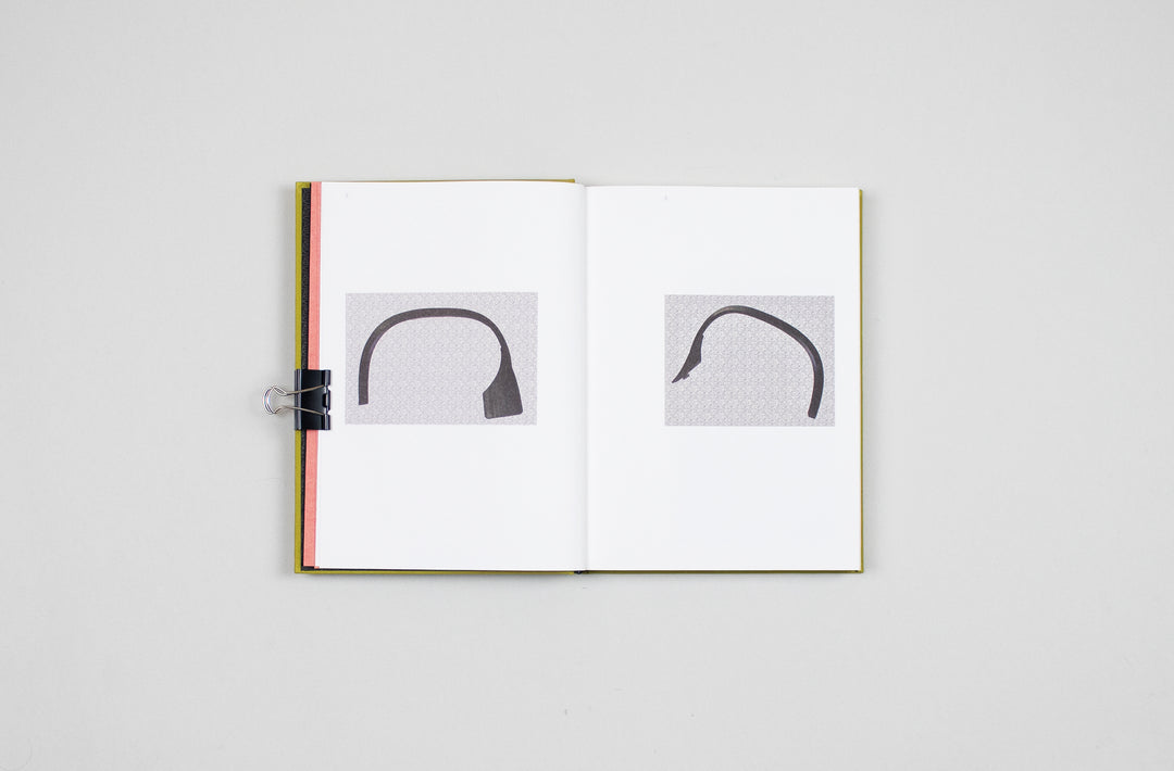 Luciano Rigolini – Surrogates