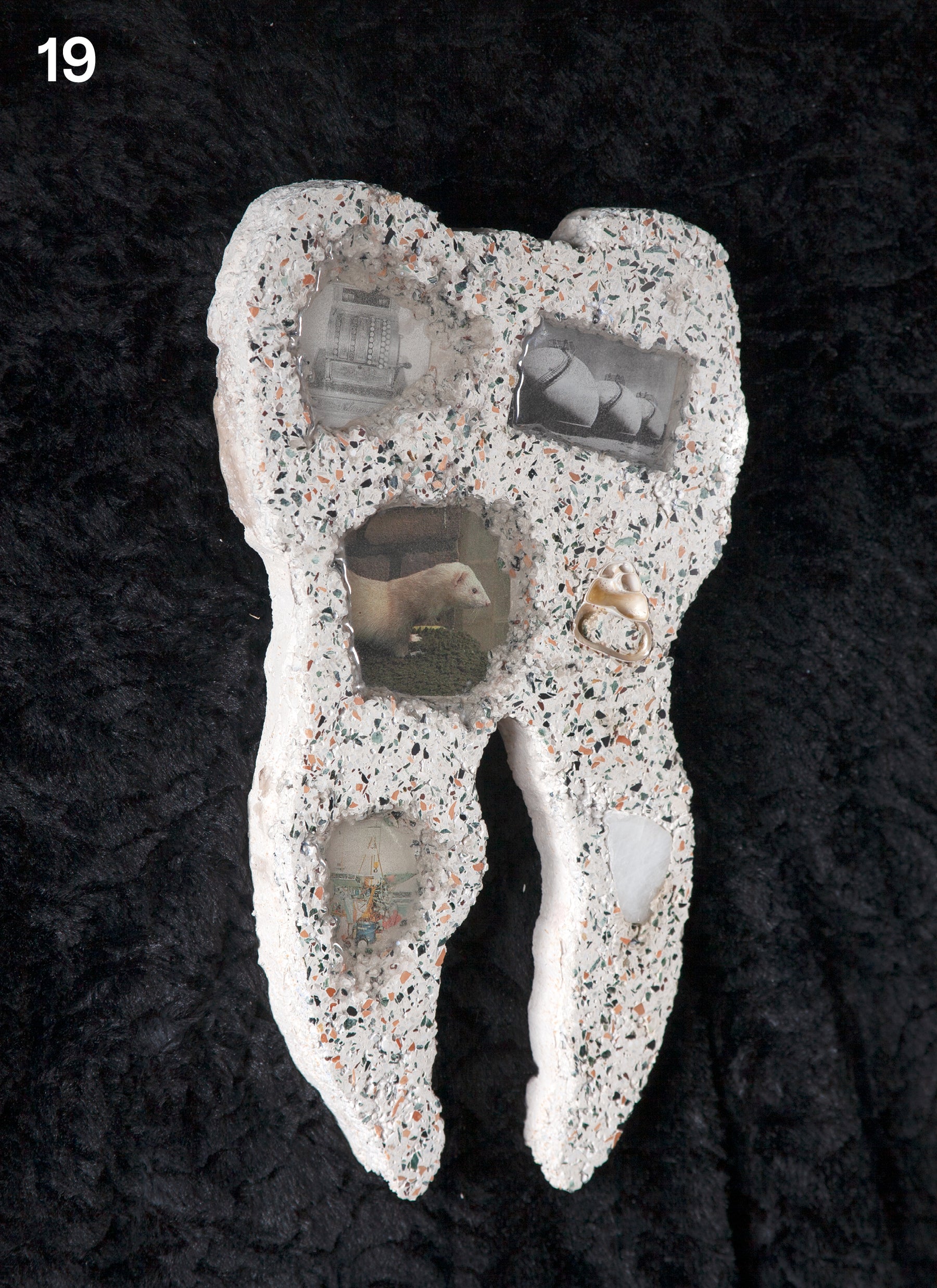 Tommy Smits – Homo Dentis