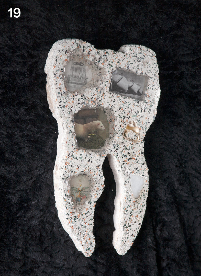 Tommy Smits – Homo Dentis Editions
