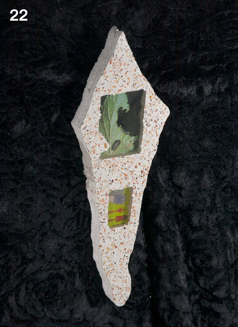 Tommy Smits – Homo Dentis Editions