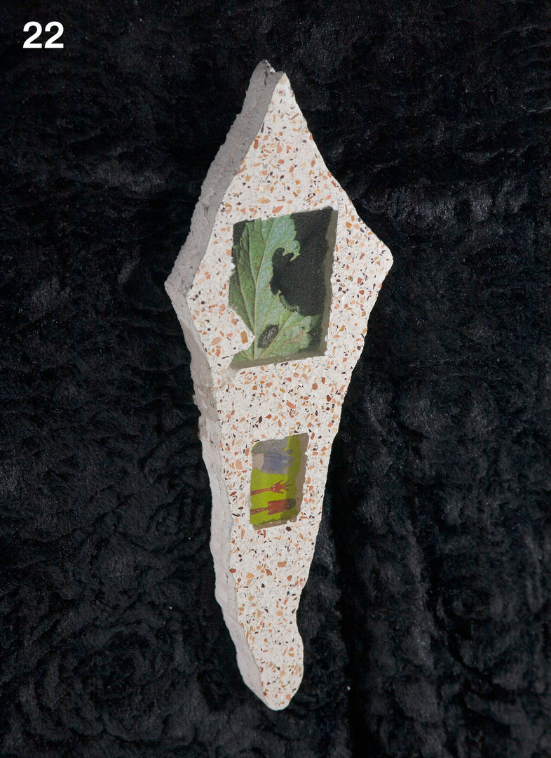 Tommy Smits – Homo Dentis Editions