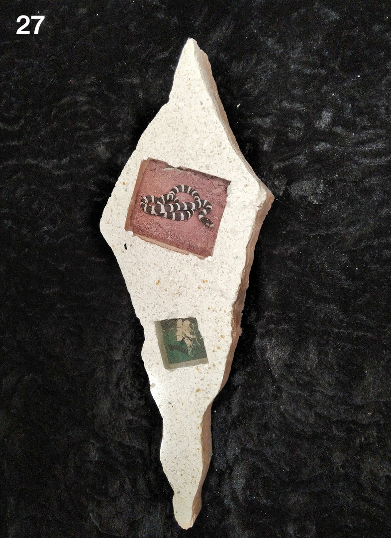 Tommy Smits – Homo Dentis Editions