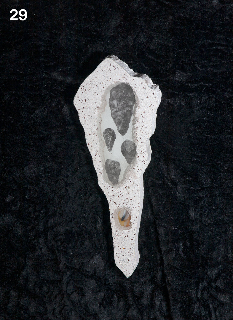 Tommy Smits – Homo Dentis Editions