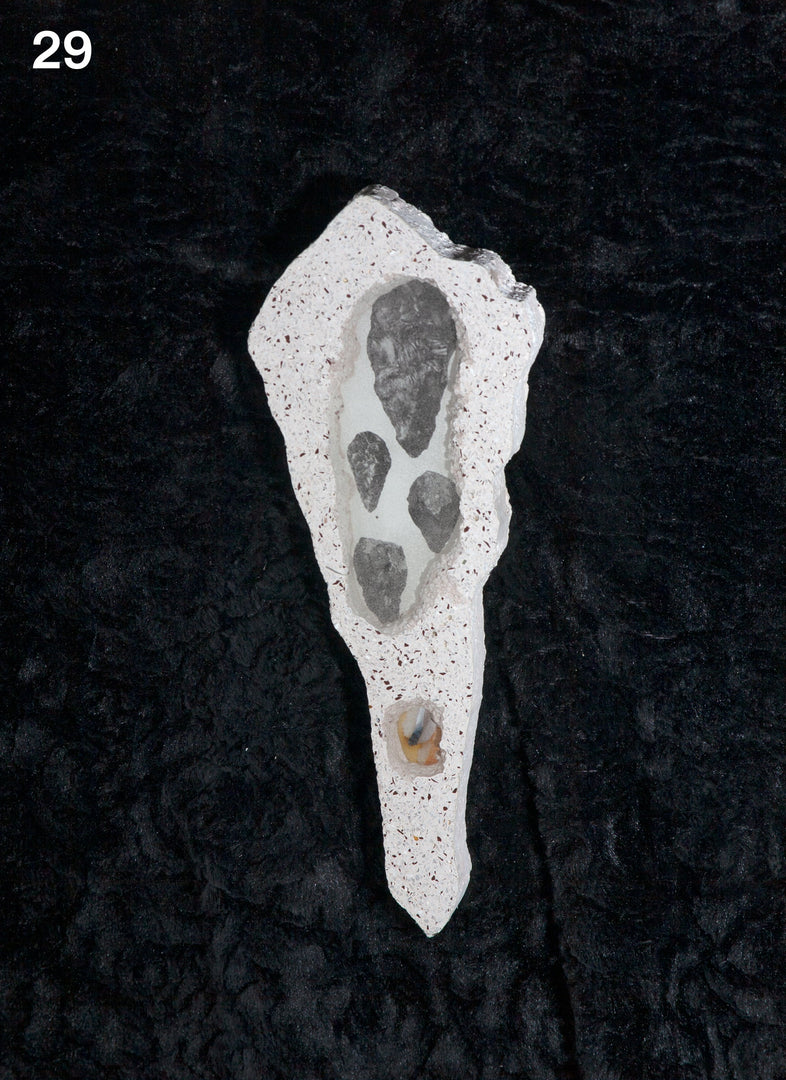 Tommy Smits – Homo Dentis Editions