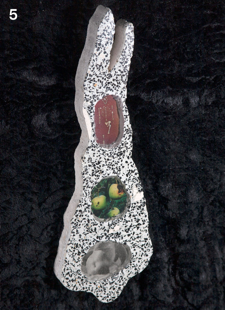 Tommy Smits – Homo Dentis Editions