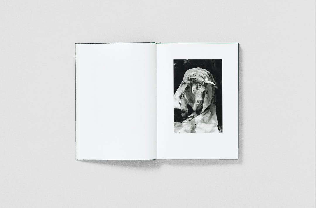 Yana Wernicke – Companions published by Loose Joints