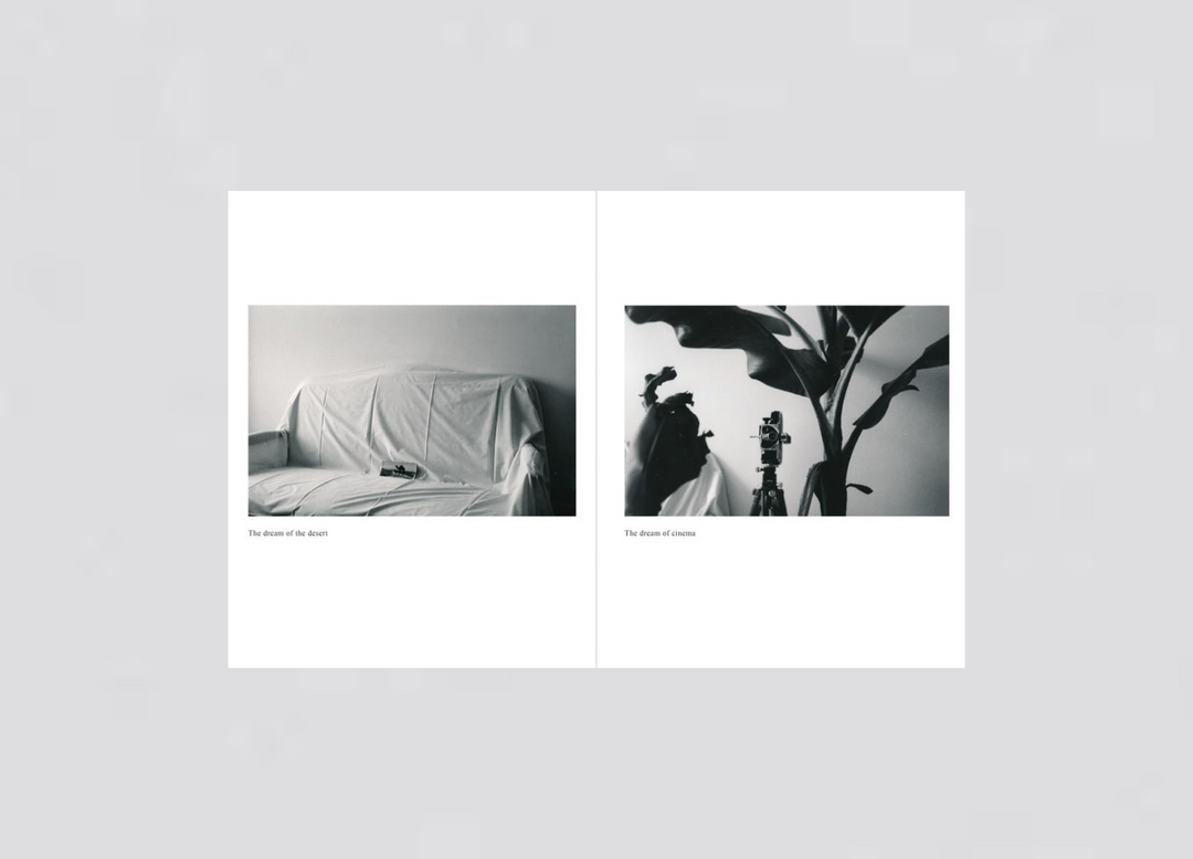 Hervé Guibert – The only face