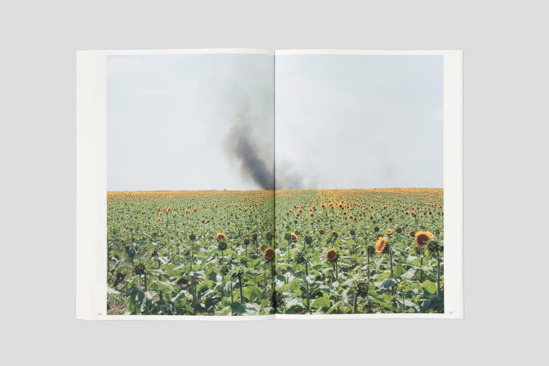 Michele Borzoni & Rocco Rorandelli – Silent Springs