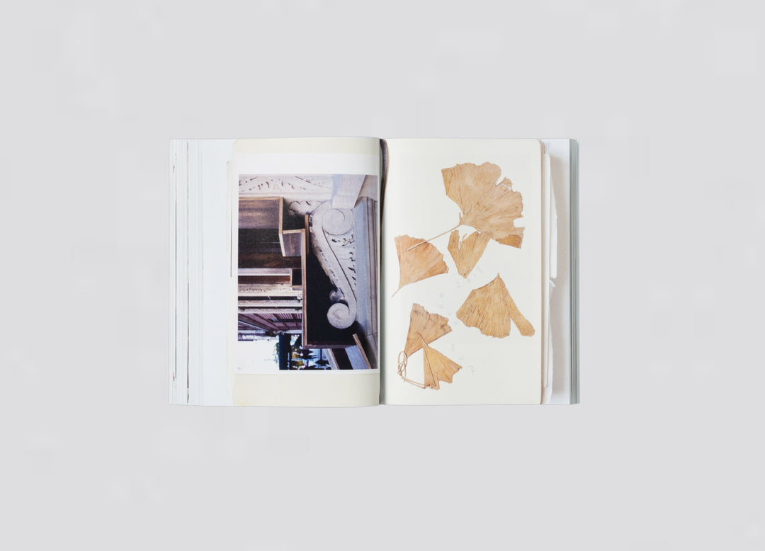 Nigel Shafran – Workbooks, book published by Loose Joints.