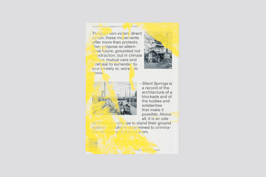 Michele Borzoni & Rocco Rorandelli – Silent Springs