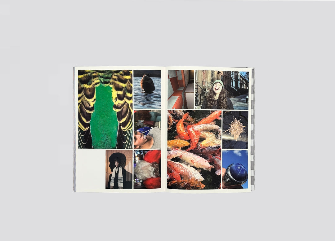 Jeff Mermelstein – What if Jeff were a butterfly?