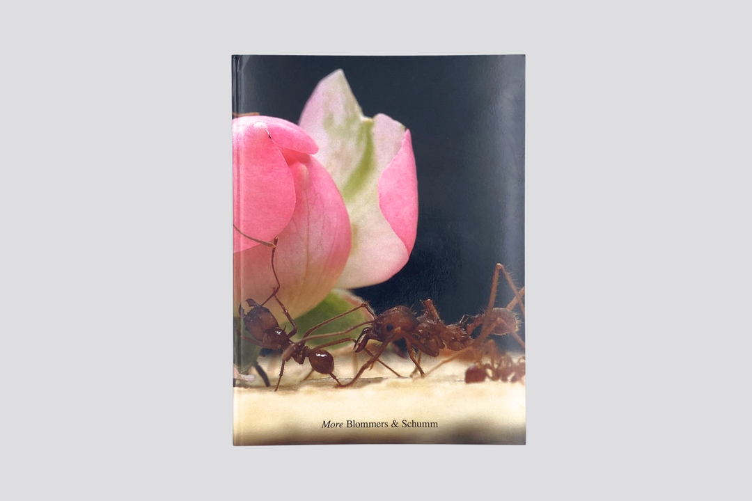 Blommers & Schumm - More
