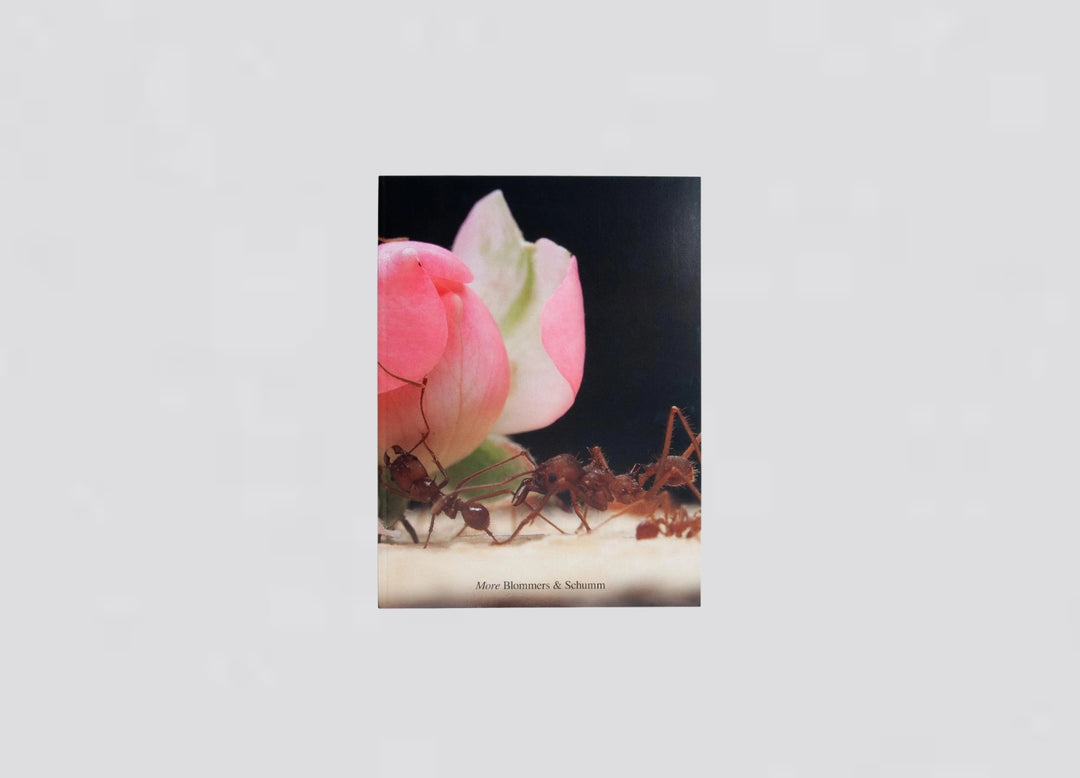More - Blommers & Schumm