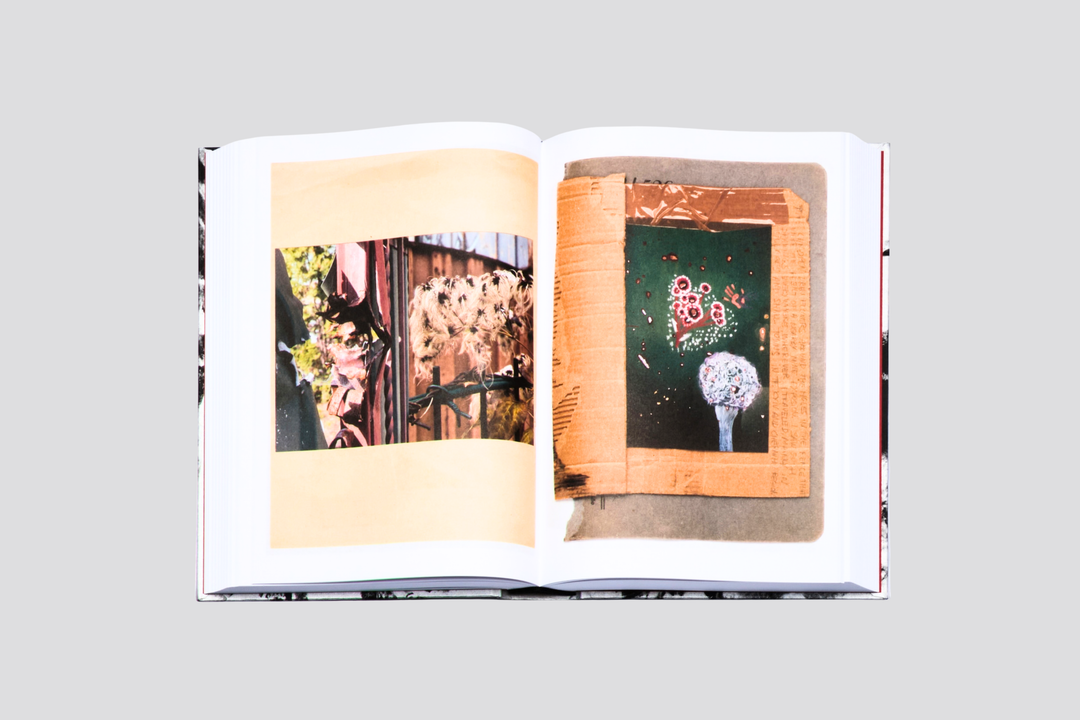 Sasha Kurmaz - Red Horse