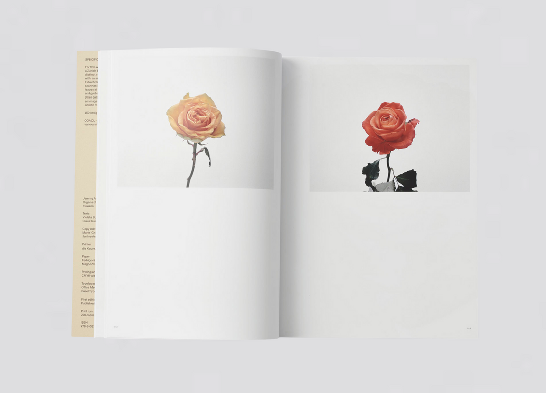 Jeremy Ayer — Organs of a Divided Labour - Flowers