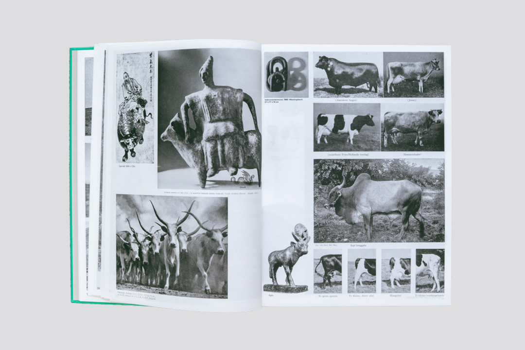 Batia Suter – Parallel Encyclopedia n°2