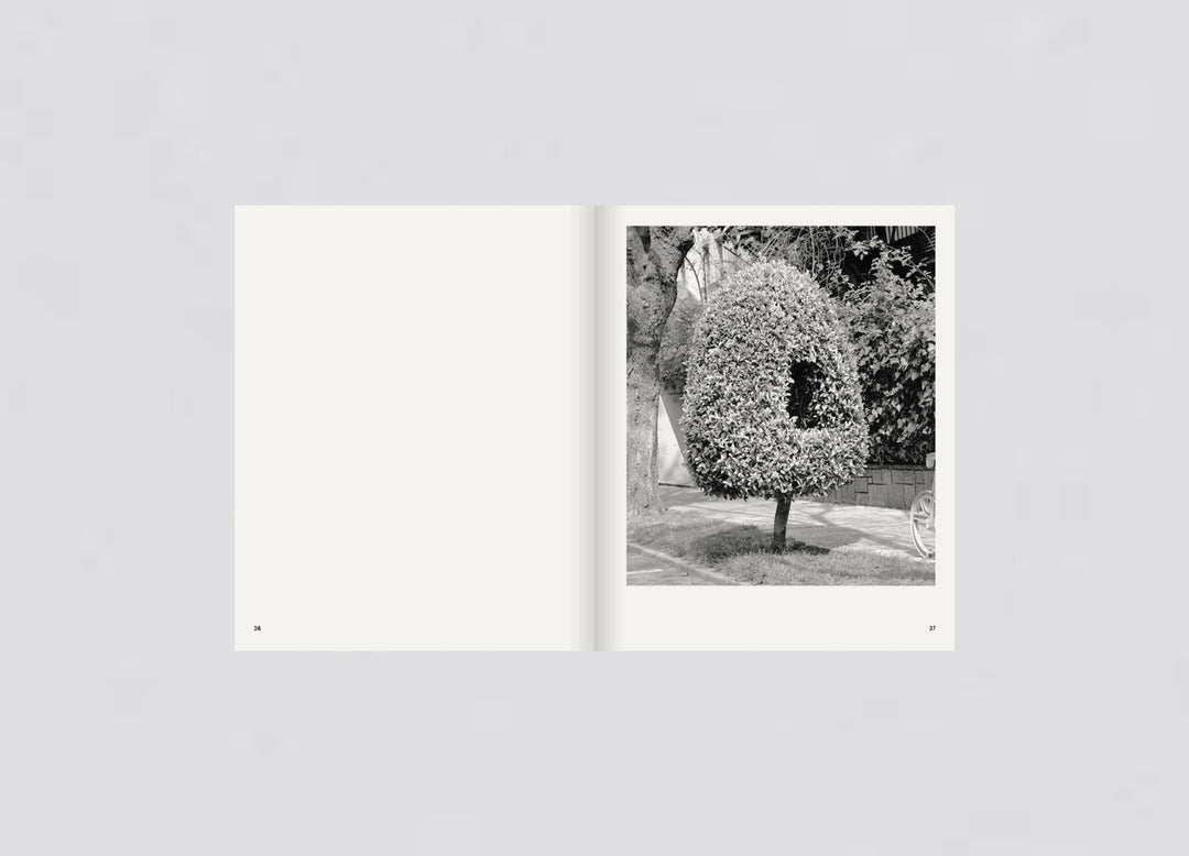 Rubén Montesinos - A Guide on Gardening