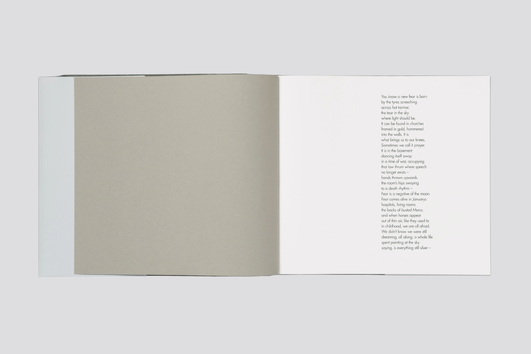 Aria Shahrokhshahi – Wet Ground