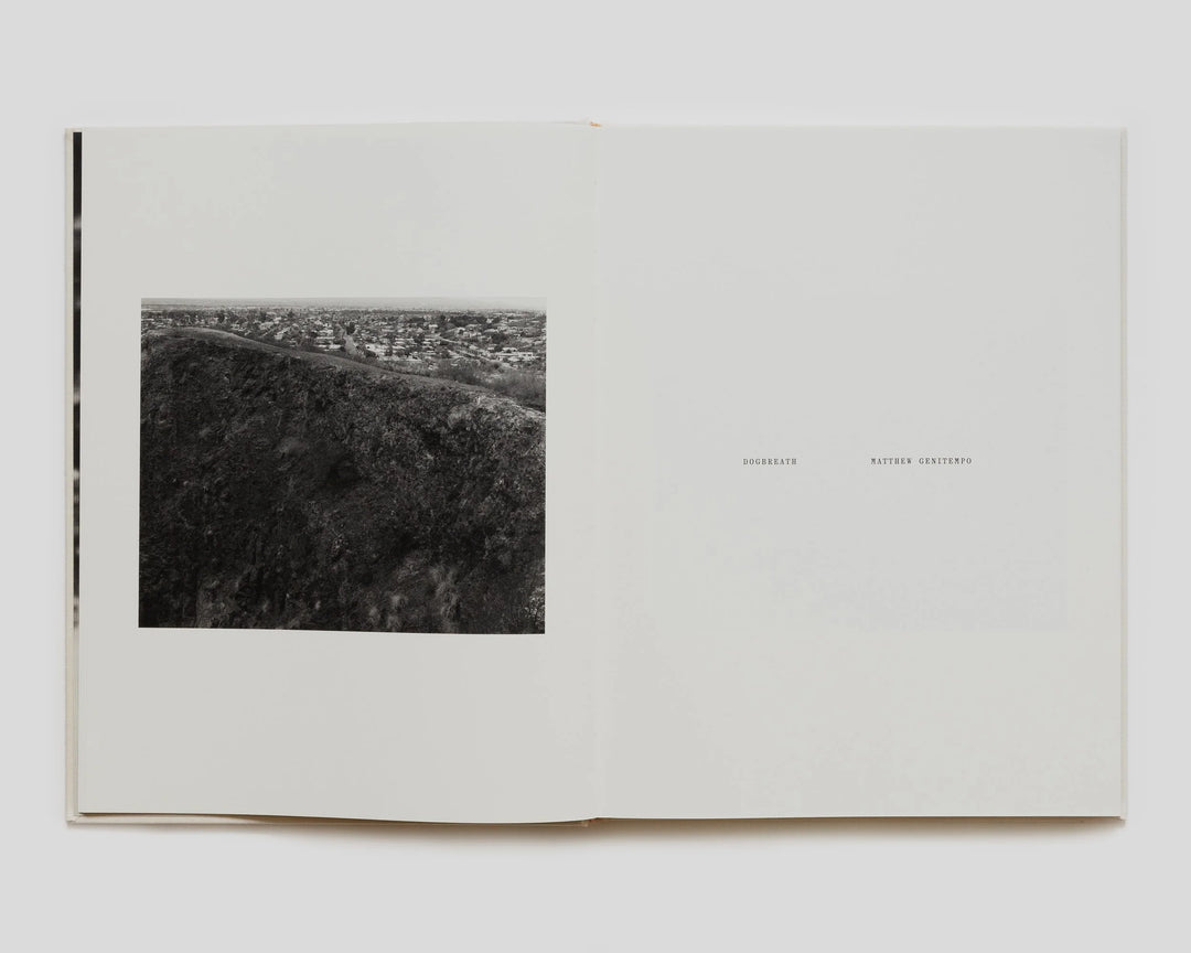 Ensemble – Matthew Genitempo - Dogbreath