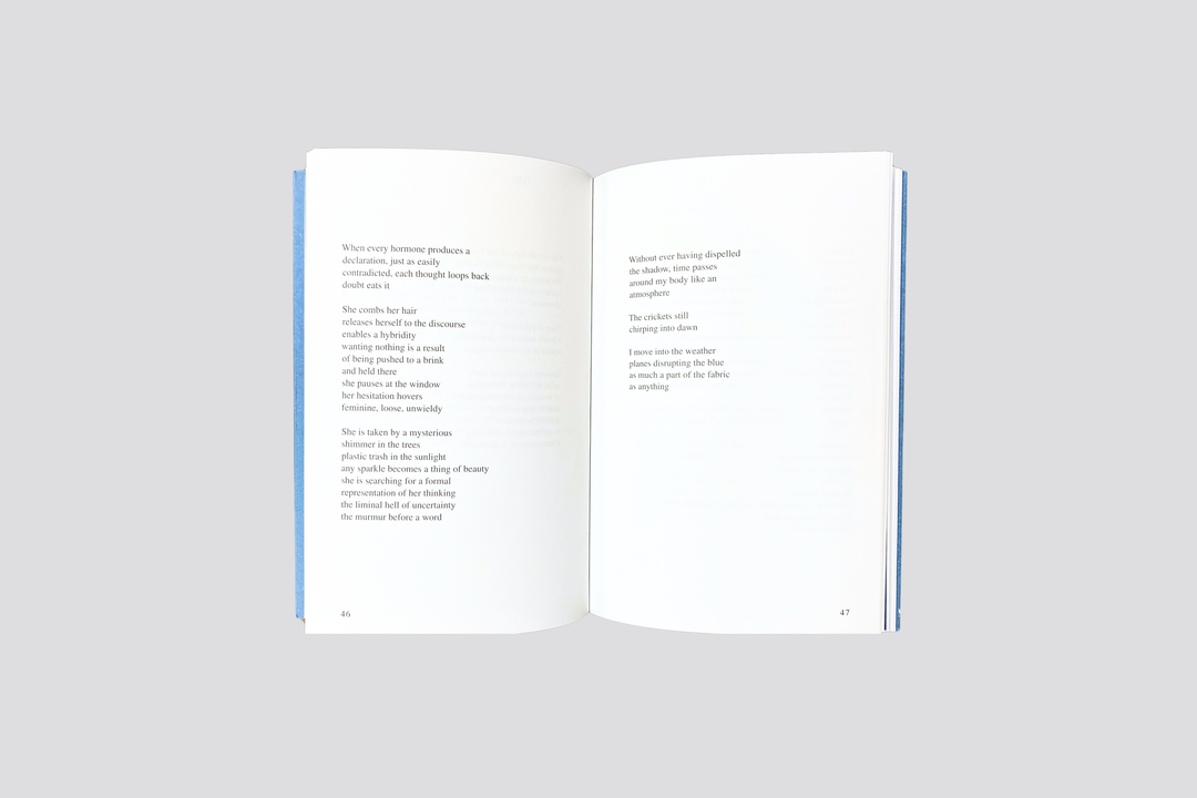Alisha Mascarenhas - A Catalogue of Risk