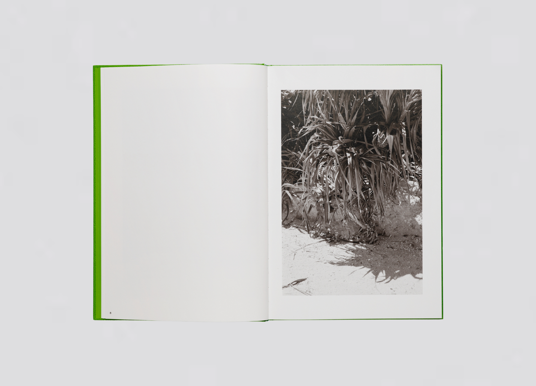 Victoire Thierrée - Okinawa!!