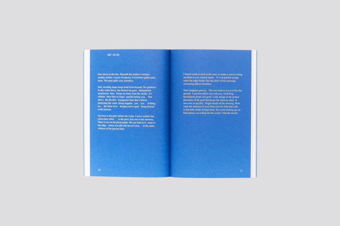 Alisha Mascarenhas - A Catalogue of Risk