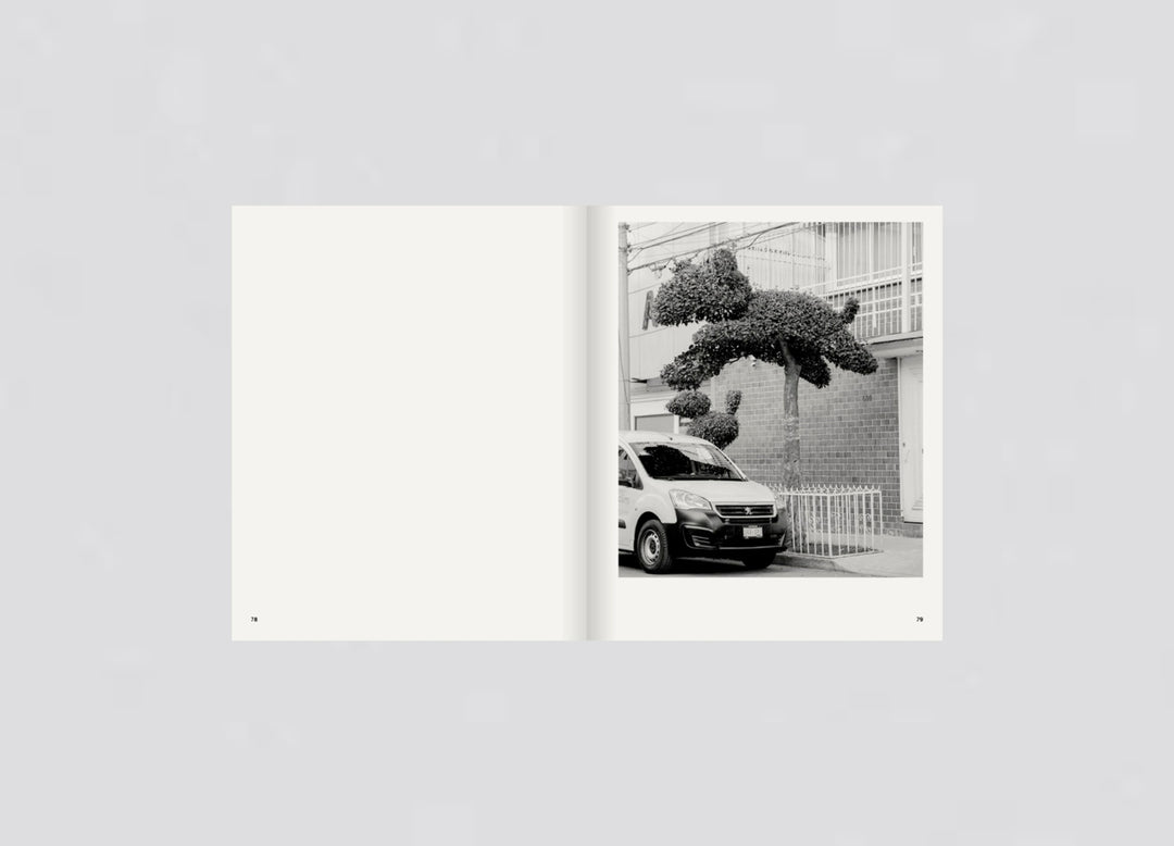 Rubén Montesinos - A Guide on Gardening