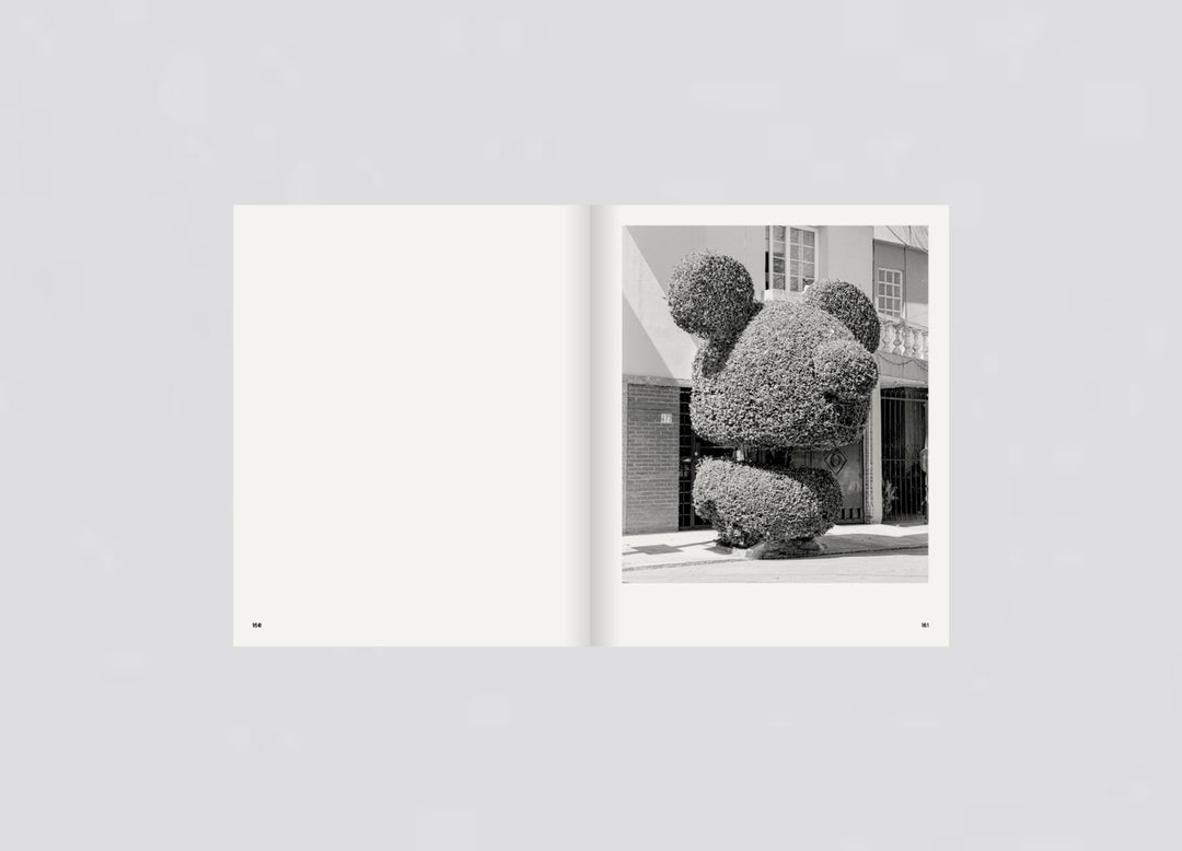 Rubén Montesinos - A Guide on Gardening