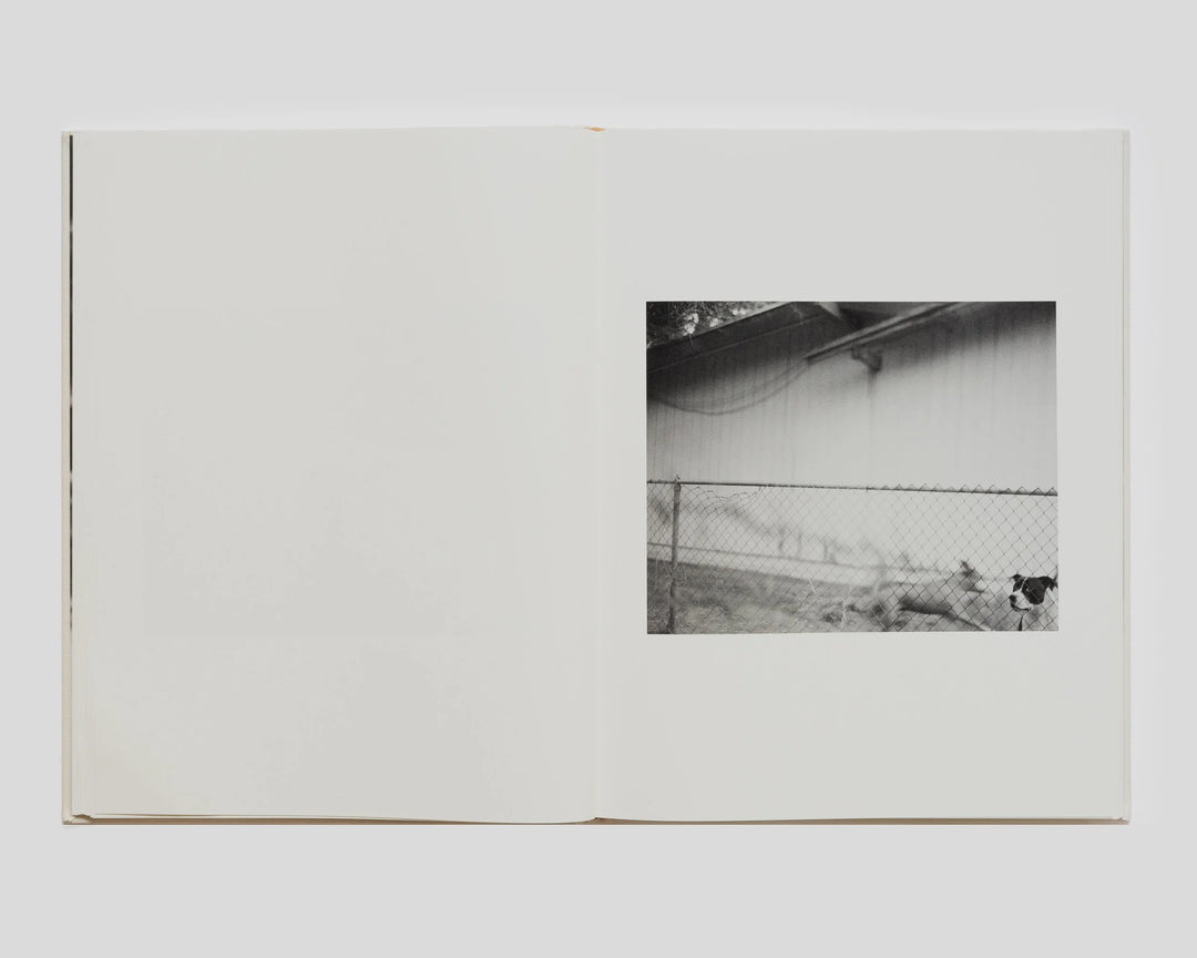 Ensemble – Matthew Genitempo - Dogbreath