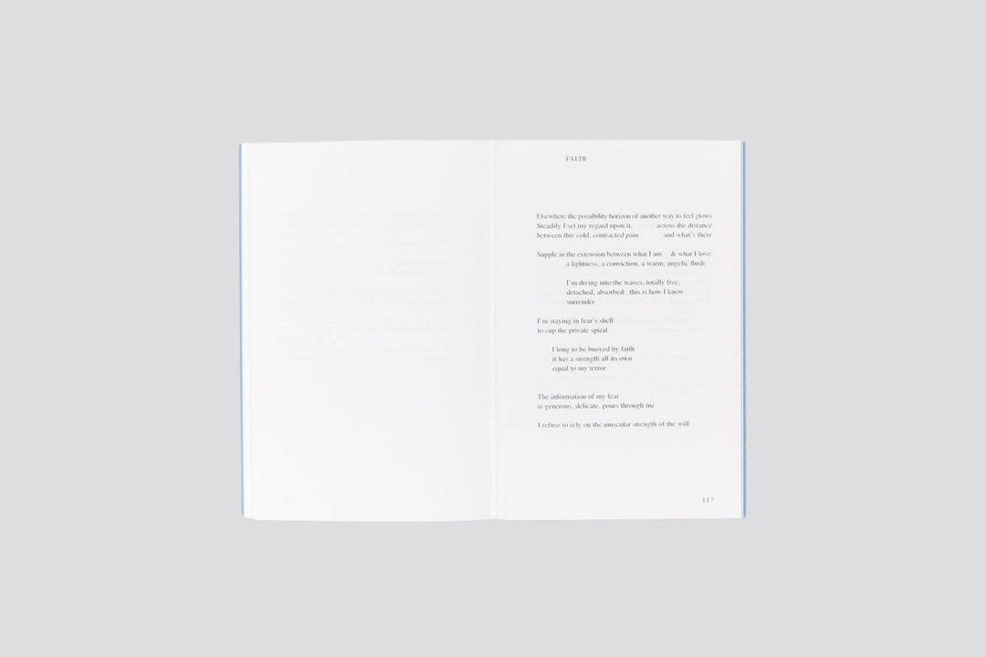 Alisha Mascarenhas - A Catalogue of Risk