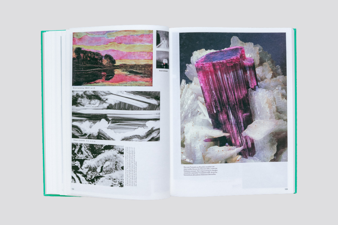 Batia Suter – Parallel Encyclopedia n°2