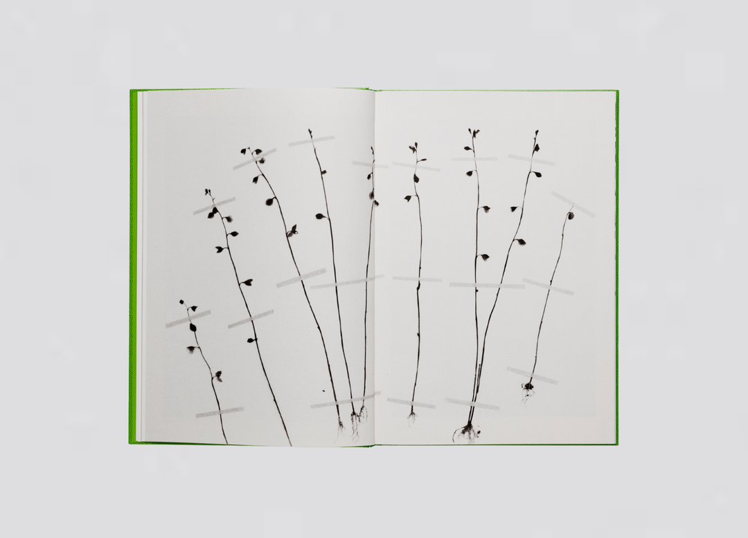 Victoire Thierrée - Okinawa!!