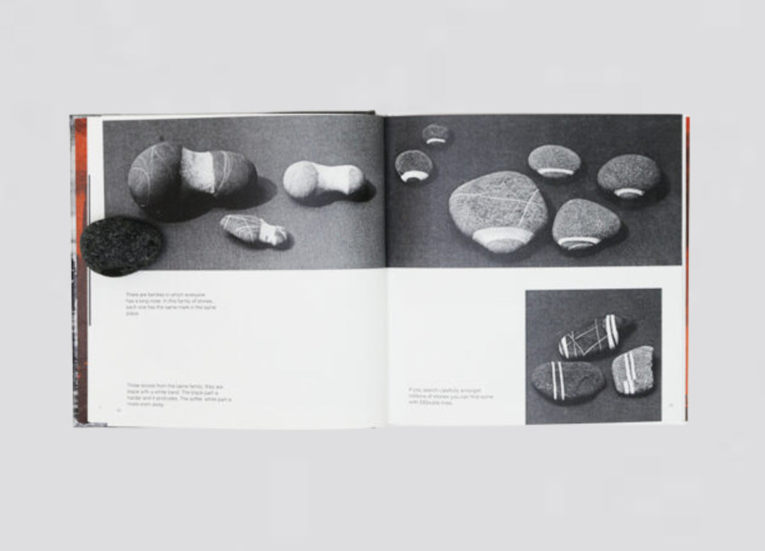 Bruno Munari  – From Afar It Was An Island