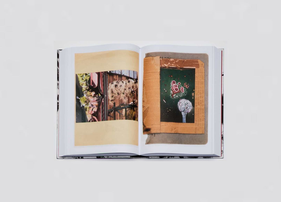 Sasha Kurmaz - Red Horse