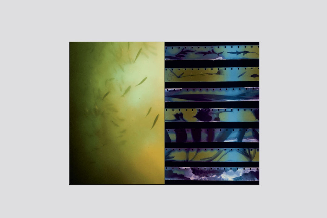 Strata - Unruly Ethnographies of Troubled Worlds