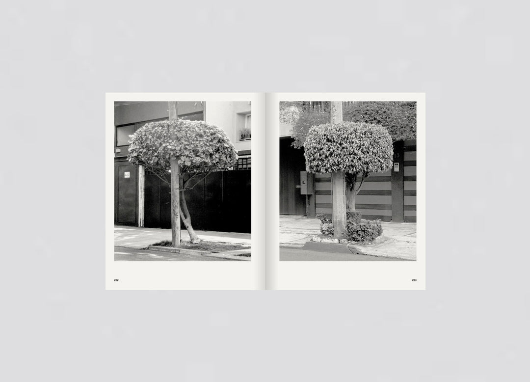 Rubén Montesinos - A Guide on Gardening