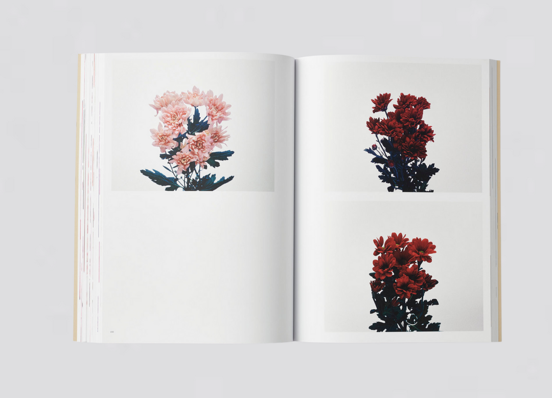 Jeremy Ayer — Organs of a Divided Labour - Flowers