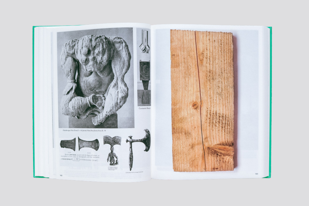 Batia Suter – Parallel Encyclopedia n°2