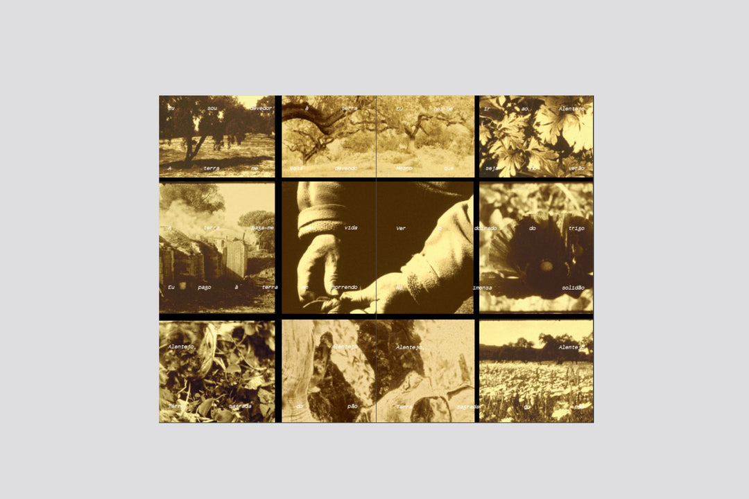 Strata - Unruly Ethnographies of Troubled Worlds