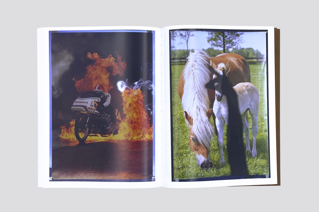 Blommers & Schumm - More