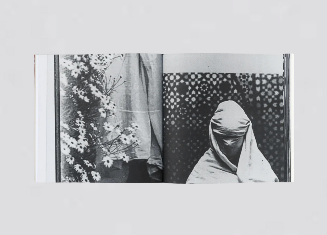 Hoda Afshar - The Fold