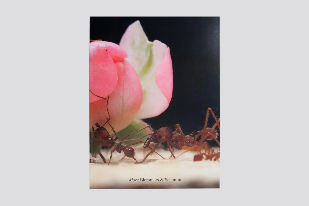 Blommers & Schumm - More