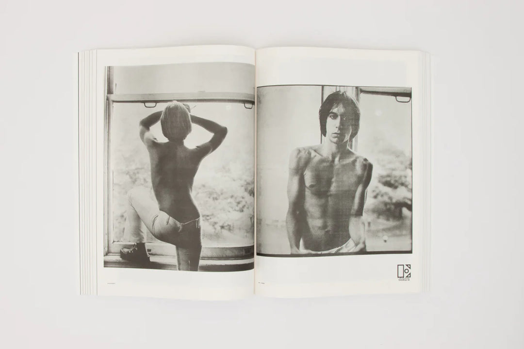 Steve Lawrence, Peter Hujar, Andrew Ullrick – Newspaper